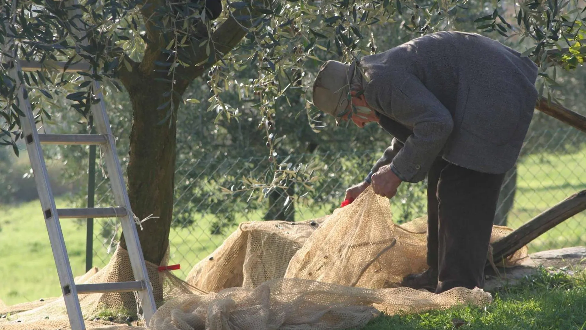 Farm stay Agriturismo Le Ceregne Bio Pieve Santo Stefano