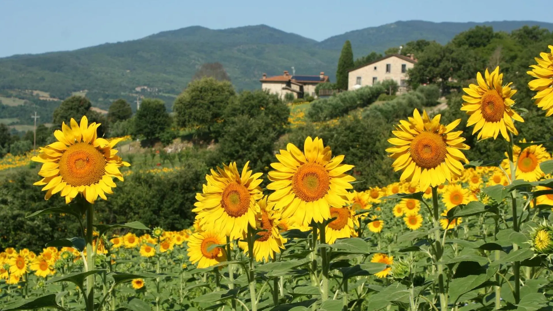 Agriturismo Le Ceregne Bio Pieve Santo Stefano 0*,